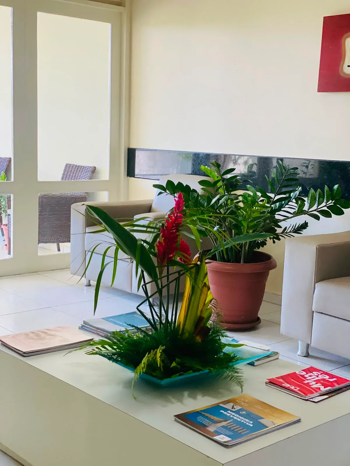 Recepção da clínica, com sofás claros e arranjo de plantas.